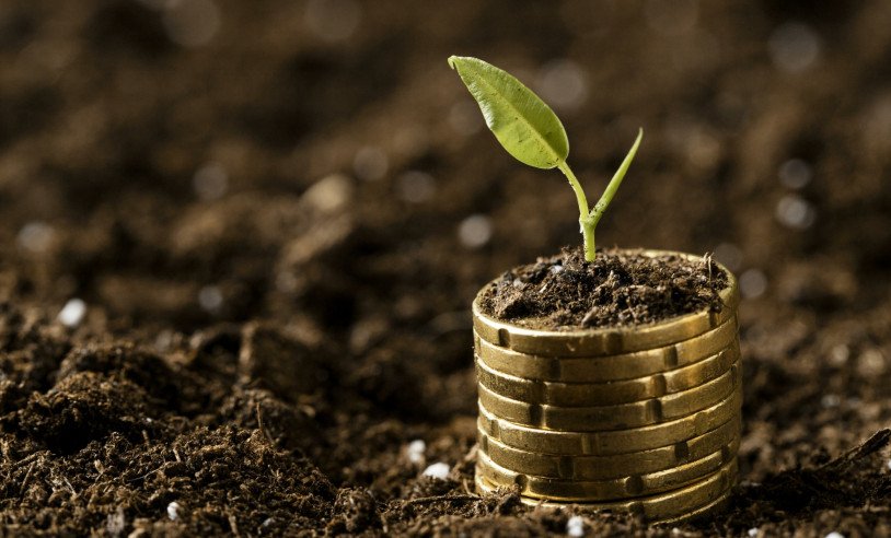 Sebrae disponibiliza guia gratuito sobre crédito sustentável para micro e pequenas empresas - Imagem do artigo original