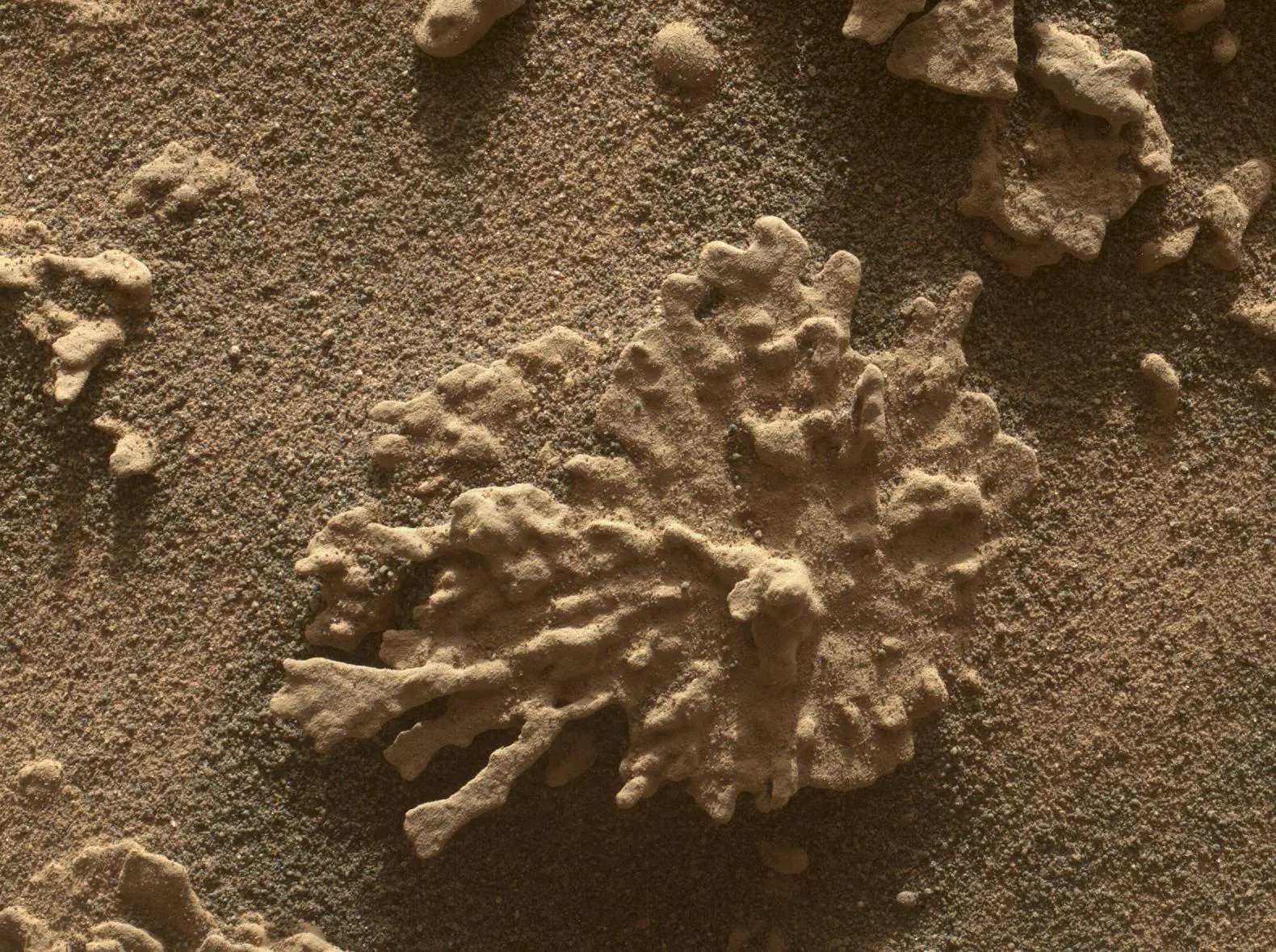 Rover Curiosity registra rocha com formato de coral em Marte - Imagem do artigo original