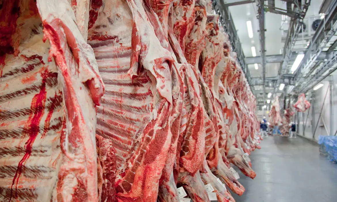 Exportações de carne bovina do Brasil devem atingir novo recorde em agosto, apesar de sobretaxa dos EUA - Imagem do artigo