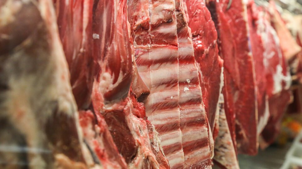 Exportações de carne bovina do Brasil sobem 35% em volume após início do tarifaço dos EUA - Imagem do artigo